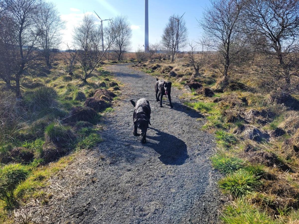 Gasthuis Blairmains Kirk of Shotts